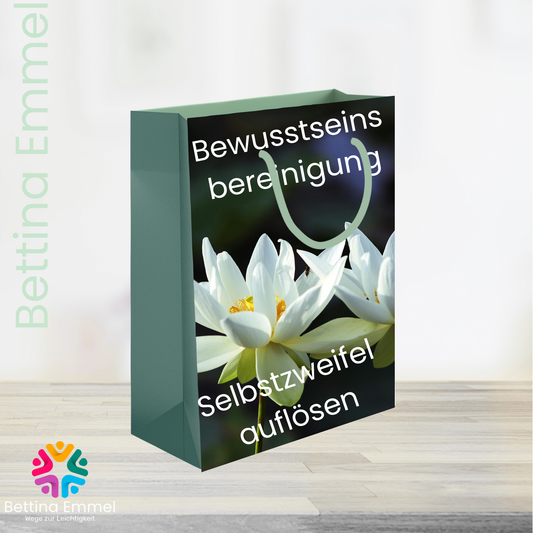 Bewusstseinsbereinigung- Selbstzweifel auflösen